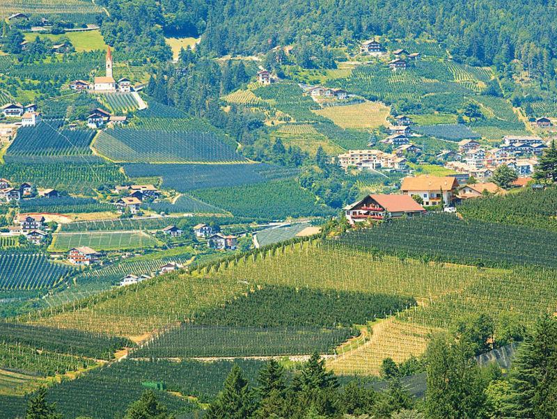 Pension Zum Burggraefler Schenna Exteriér fotografie